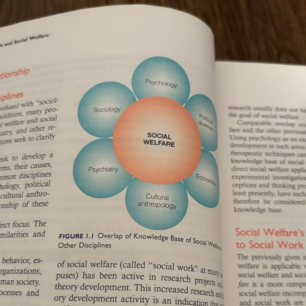 11th Edition Introduction to Social Work and Social Welfare Textbook - Picture 6 of 12